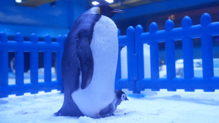 图片 1.png 图片 1.png