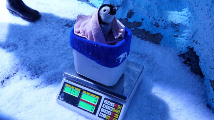 图片 3.png 图片 3.png