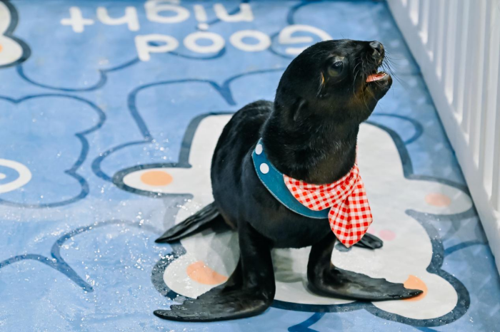 图片 6.png 图片 6.png