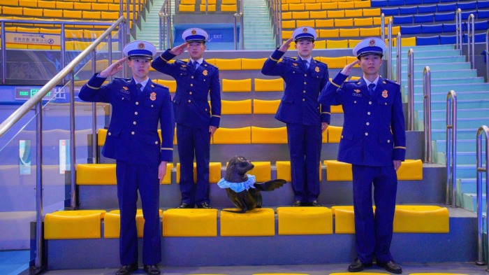 图片 5.png 图片 5.png