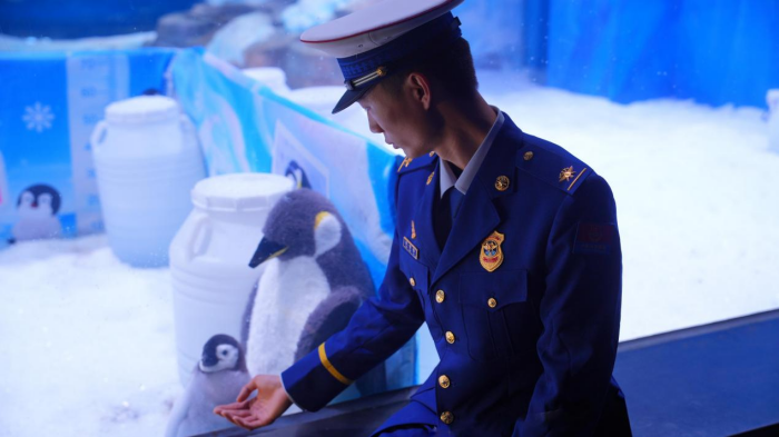 图片 4.png 图片 4.png