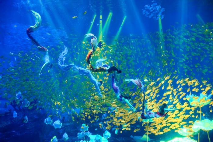 图片 4.png 图片 4.png