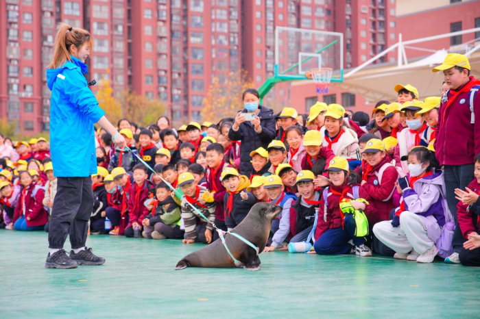 图片 6.png 图片 6.png