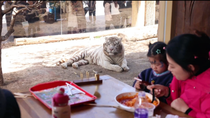 图片 4.png 图片 4.png