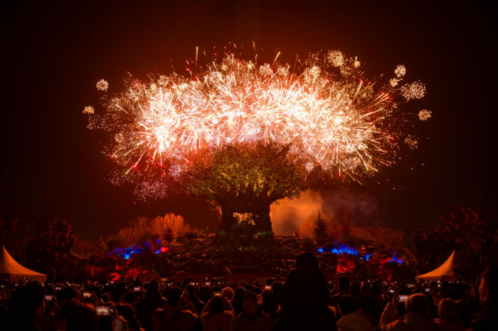 图片 16.png 图片 16.png